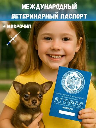 Ветпаспорт/Титры, антитела к бешенству для выезда