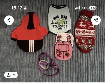 Продам вещи для кошек