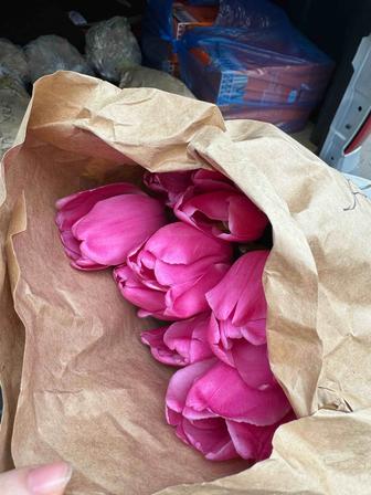 Тюльпаны в наличии