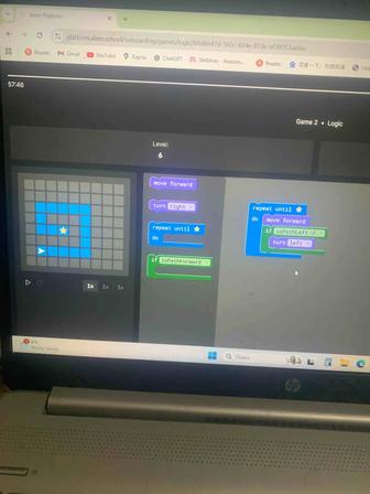 Программист на выезд