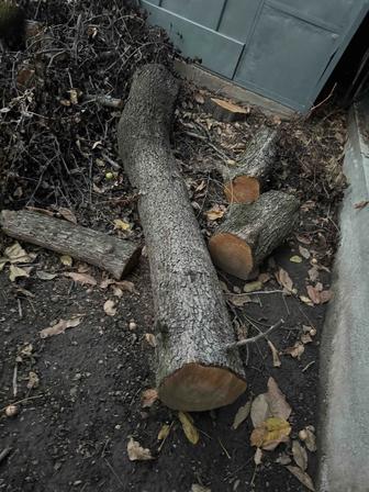 Отдам бесплатно дрова самовывозом