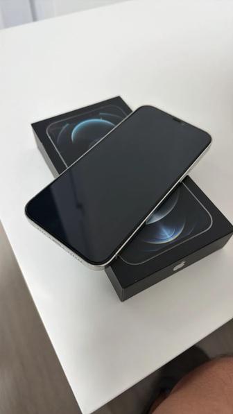 iPhone 12 Pro Max 256