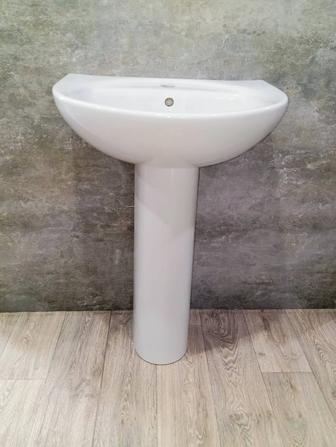 Раковина (тюльпан)