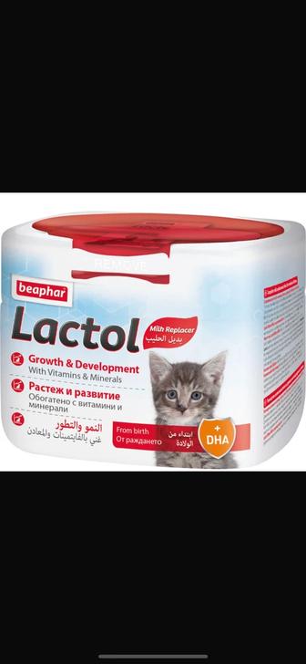 Продам смесь для котят, купили но он не понадобился