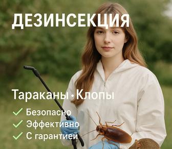 Дезинфекция и Дезинсекция от Клопов Профессионально