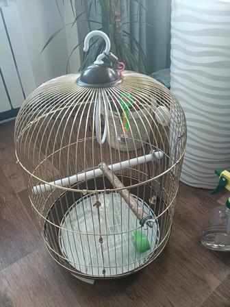 Клетка для птицы
