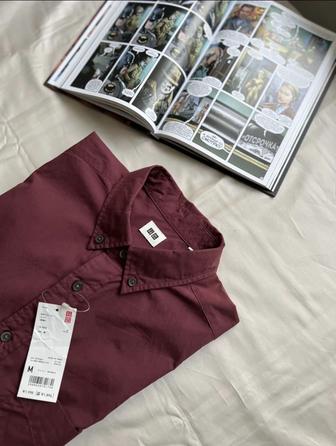 Новая рубашка Uniqlo