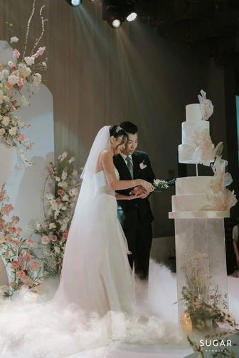 Организация праздников ,и торжеств эффект-шоу Эффект Золушки под ключ