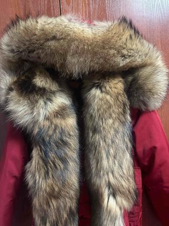 Продам парку.