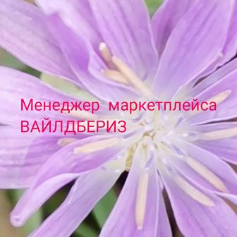 Менеджер маркетплейса Вайлдбериз