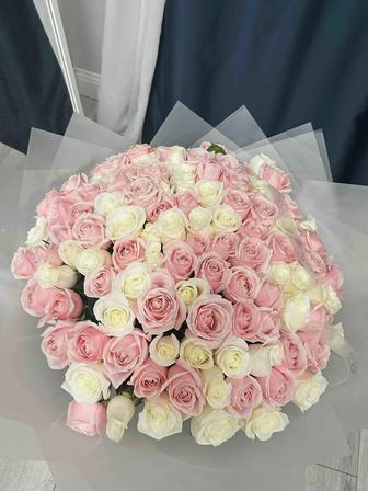 Продам цветы