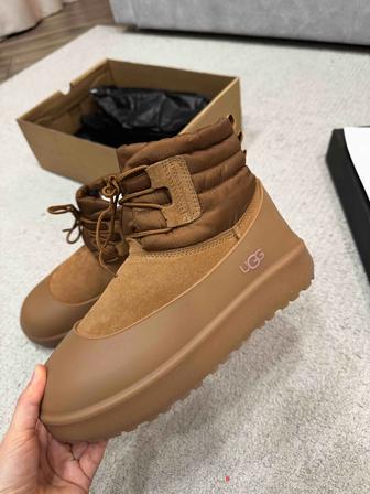 Продаю новые угги