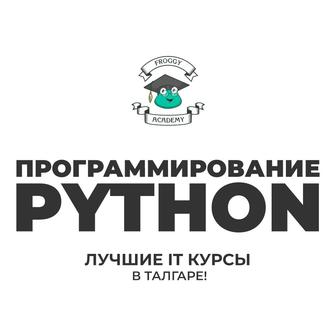 Курс Python для начинающих, программирование