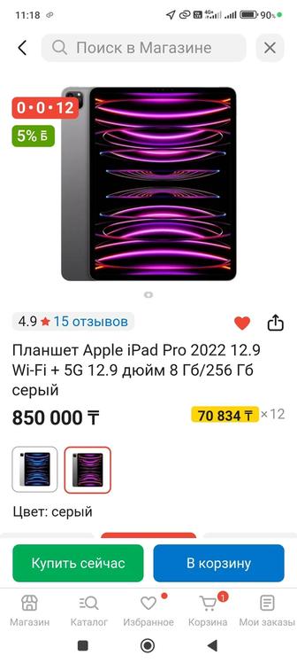 Ipad Pro 5G