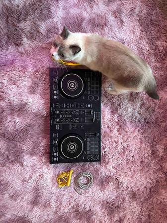 Контроллер DDJ 200 наушники в подарок