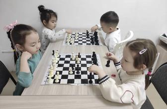 Шахматы , обучение с нуля до продвинутого