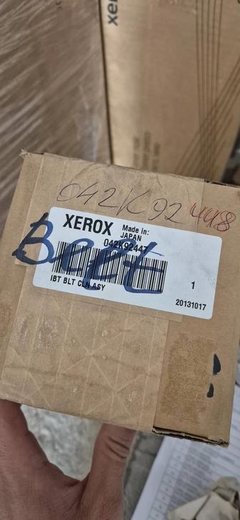 Xerox 042K92447 узел очистки ремня