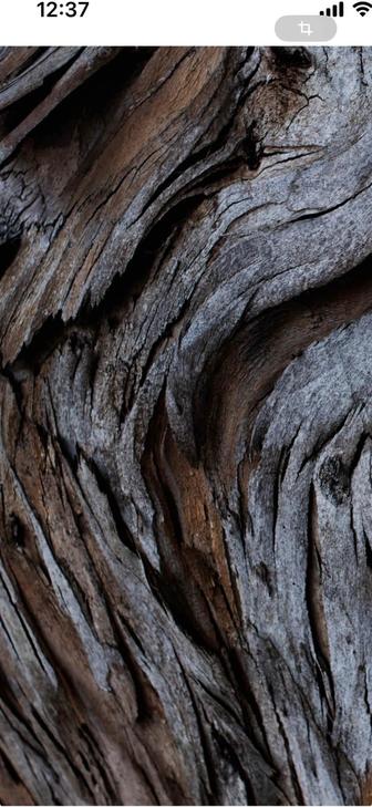 Услуги художника-декоратора.