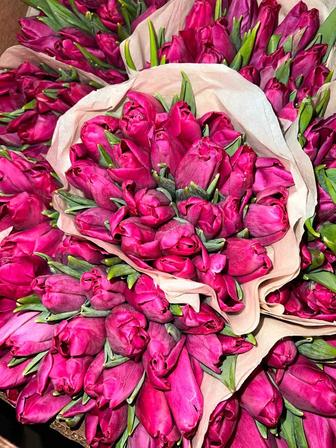 Крупные тюльпаны
