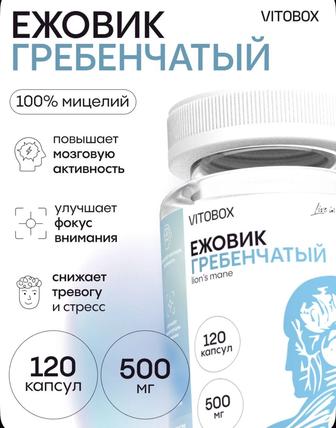 Ежовик гребенчатый