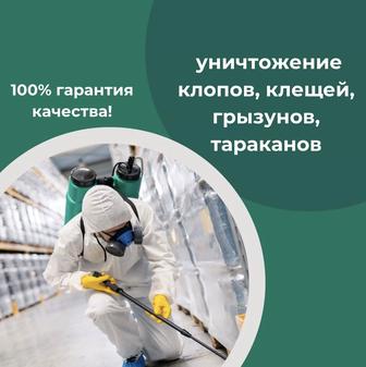 Дезинфекция уничтожение тараканов клопов блох крыс мышей