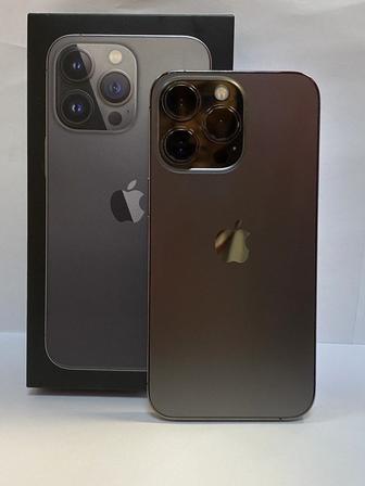 iPhone 13 Pro