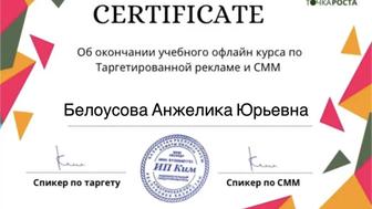 Таргетолог