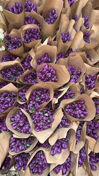 тюльпаны по низкой цене