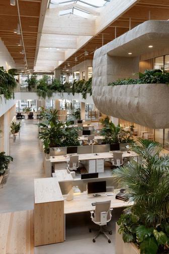 Озеленение квартир, офисов и кафе