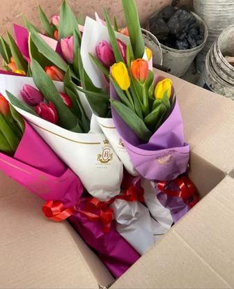 Тюльпаны свежие