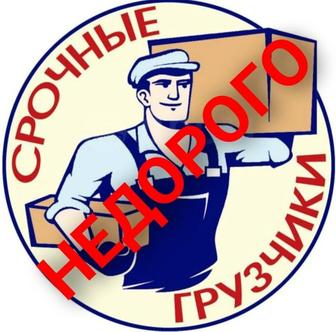 Услуги грузчиков в Алма аты