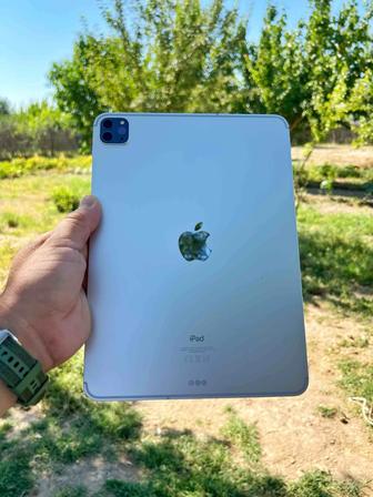 iPad Pro 256 гб симка