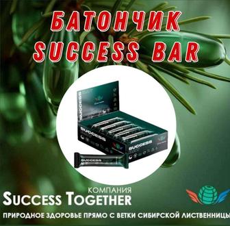 Клеточное питание Success Bar