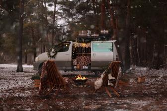 Фотосессии к новому году