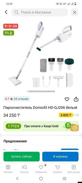 Пароочиститель