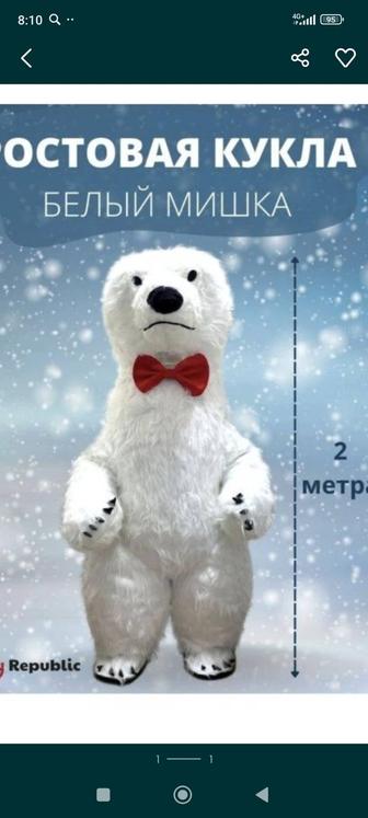 Продам костюммедведя