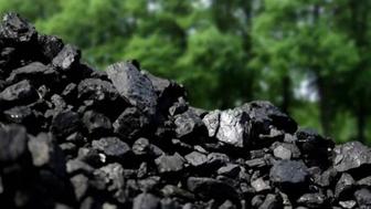 Подрабатываю ,кидаю уголь,до 6 тонн кидаю