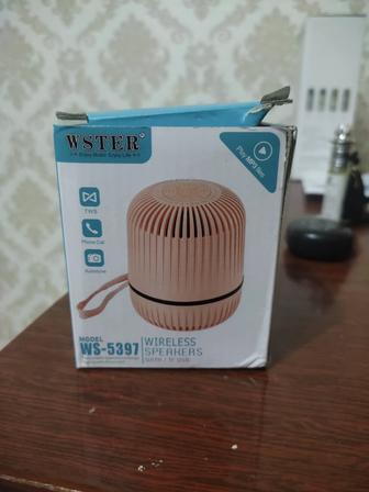 Wireless Speaker