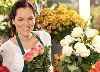 Услуги флориста по комнатным растениям