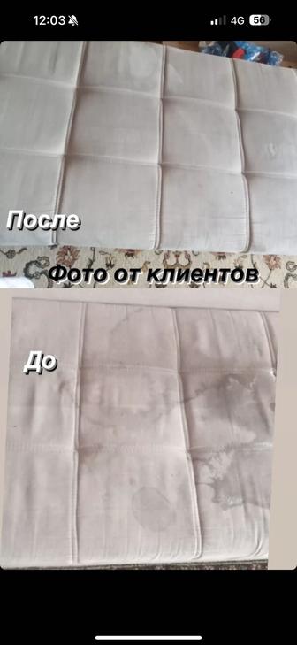 Аренда пароочистителя Кarcher