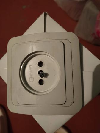 Розетка обыкновенная