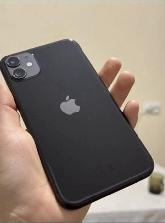 Apple 11