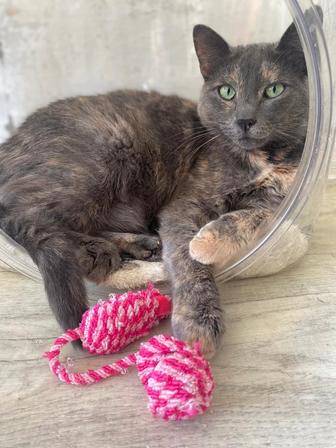 Луна 2 года крупная Женщина