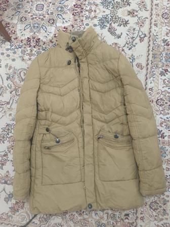 Мужской куртка