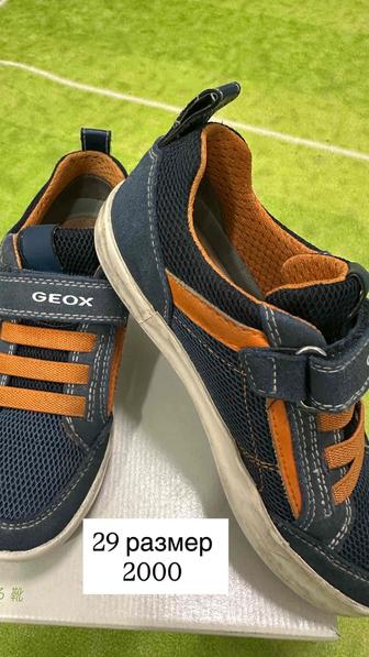 Кеды на мальчика размер 29 Geox