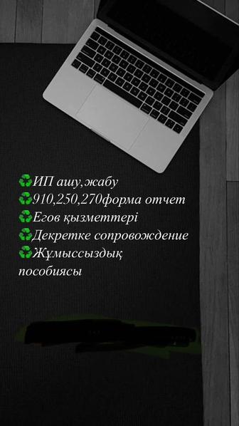 ИП, пособия. \\Онлайн оформление