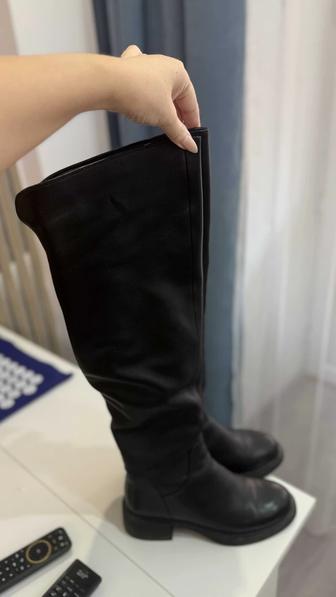 Сапоги женские