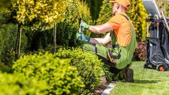 Садовники, полный комплект весенних работ.