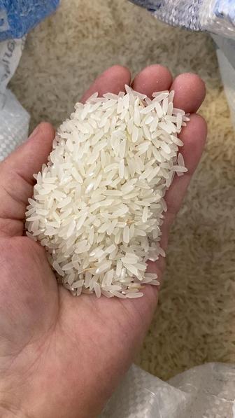 Күріш- рис, Лазер