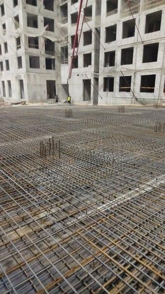 Моналитшик